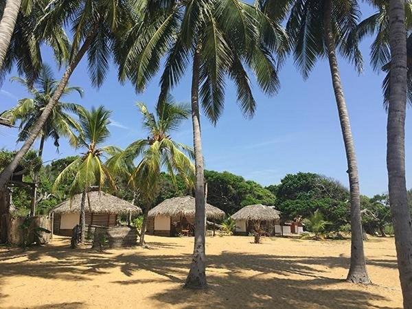 Upali Beach Surf Resort & Cafe Vịnh Arugam Ngoại thất bức ảnh