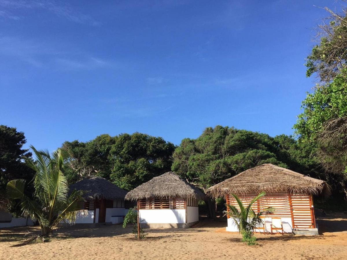 Upali Beach Surf Resort & Cafe Vịnh Arugam Ngoại thất bức ảnh